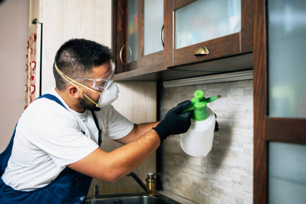 Best Pest Prevention Services  in Second Mesa, AZ