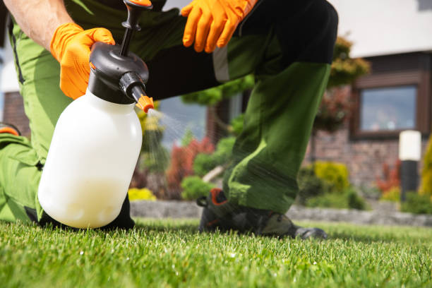 Best Commercial Pest Control Services  in Second Mesa, AZ