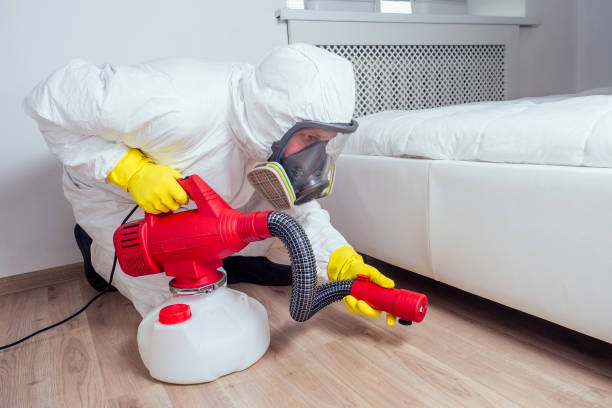 Best Exterminator Services  in Second Mesa, AZ